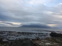 Tafelberg