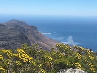 table mountain