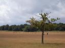 Ricmondpark
