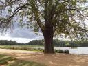 Richmondpark