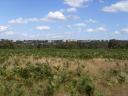 whitelands college from a distance