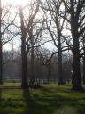 Romance in Green park