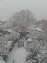 Our garden!