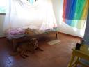 my room and Fopsy