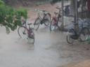 no cycling today