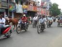 bikes and cows