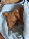 so sweet!