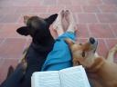 Lucky and Popsy
