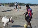 athan playing football with a dog