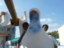 Suresh and Velu