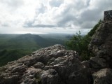 The top