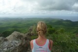 the view
