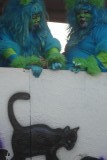 kiddi cats