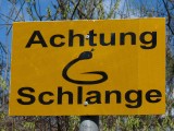 02 Slangen op de parkeerplaats in Oostenrijk