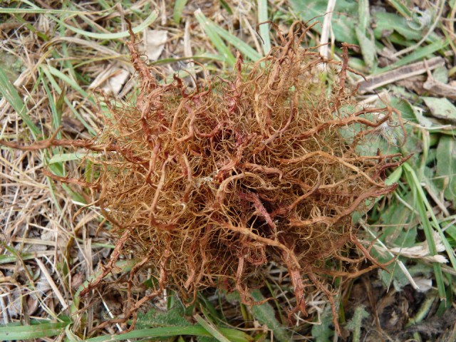 P1330403