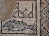 P1330482