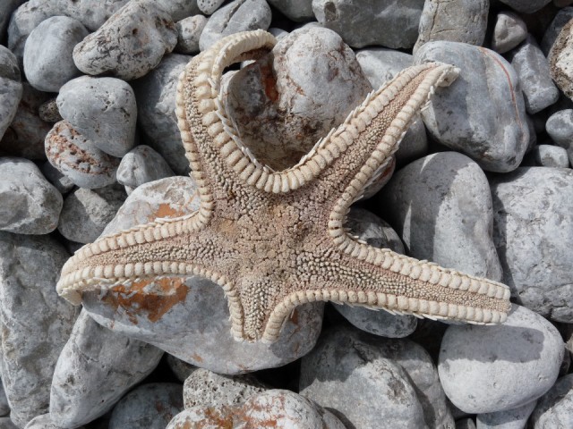P1330861