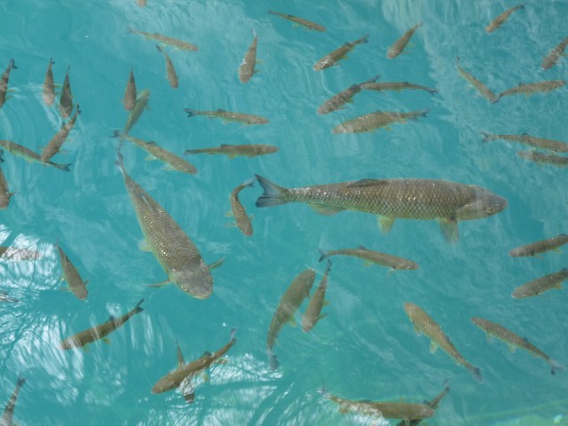 P1340023