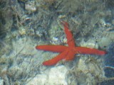P1340697
