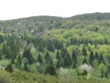 P1350978
