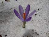 P1360261