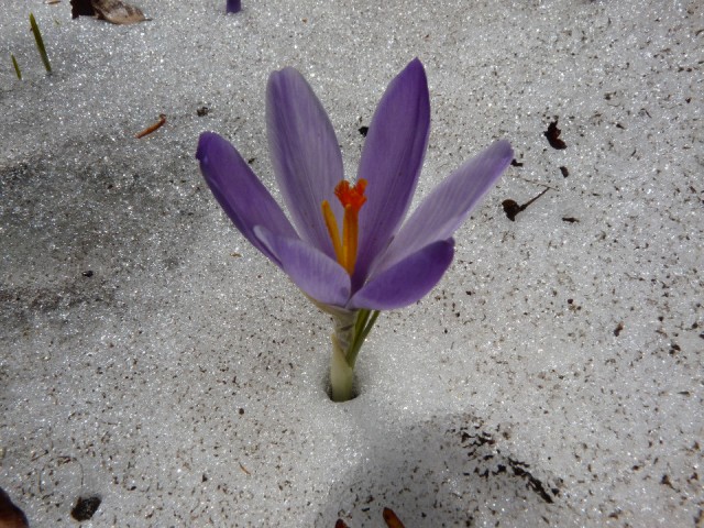 P1360261
