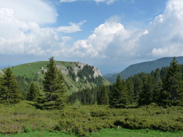 P1390688