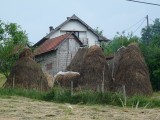 P1400325