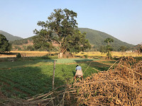 landscape2