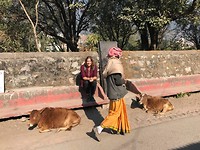 Rishikesh
