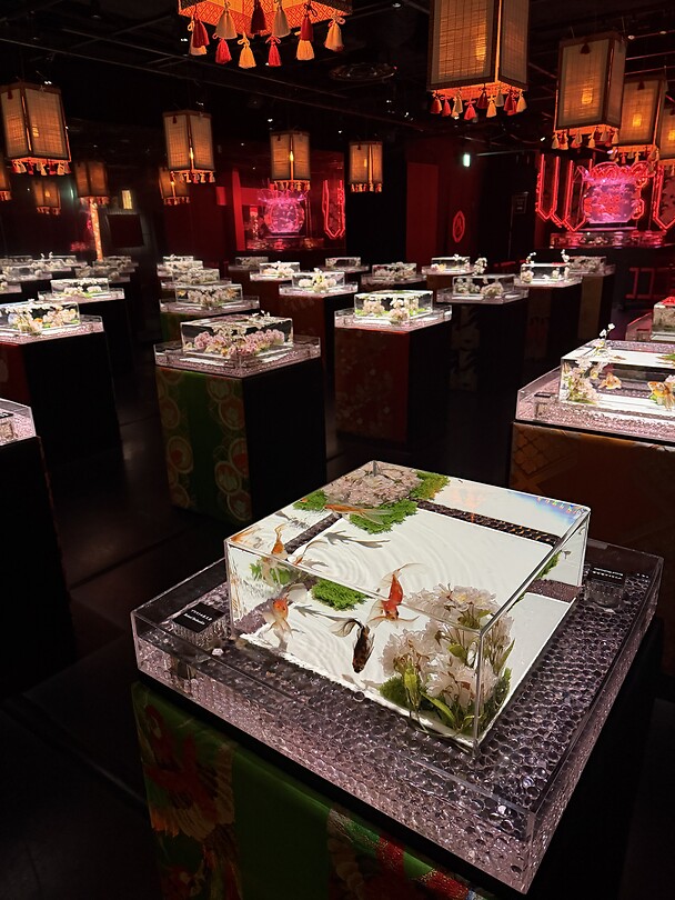 Art aquarium Tokyo
