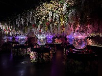 Art aquarium 2 Tokyo