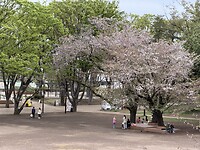 Grandberry parc