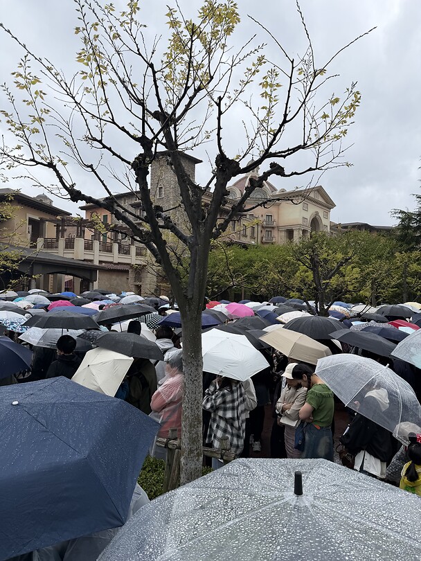 Rij in de regen Disney Sea