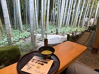 Matcha in bamboo bos