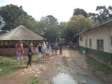 The farm