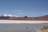 SAM_0338