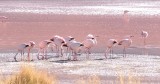 SAM_0416