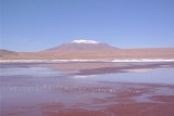 SAM_0419