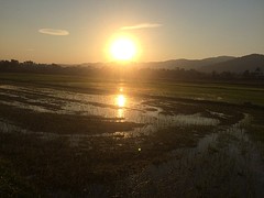 Zonondergang