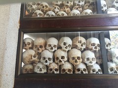 Schedels killing fields