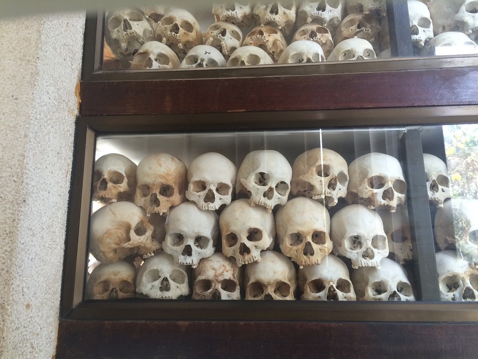 Schedels killing fields