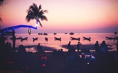 koh tao