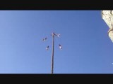 Los Voladores