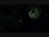 Etende Luiaard (2-tenig)