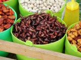 Chapulines (sprinkhanen) om te eten