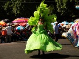 Señorita bailando