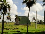 Tabakboerderij