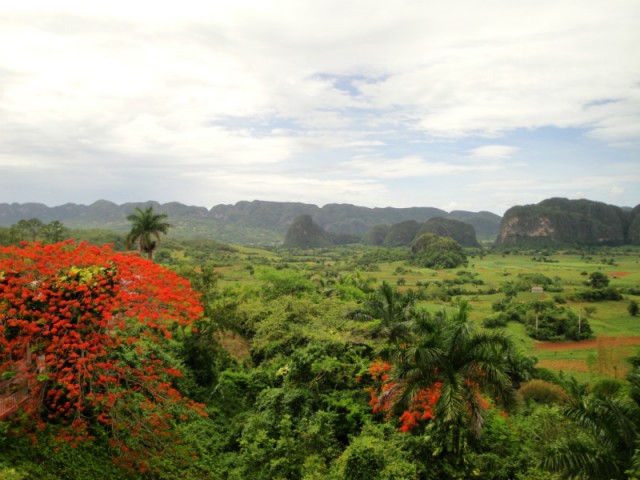 Viñales