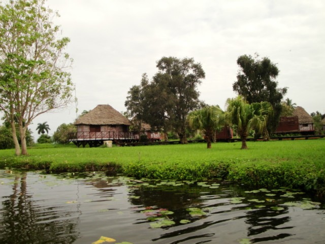 Guama